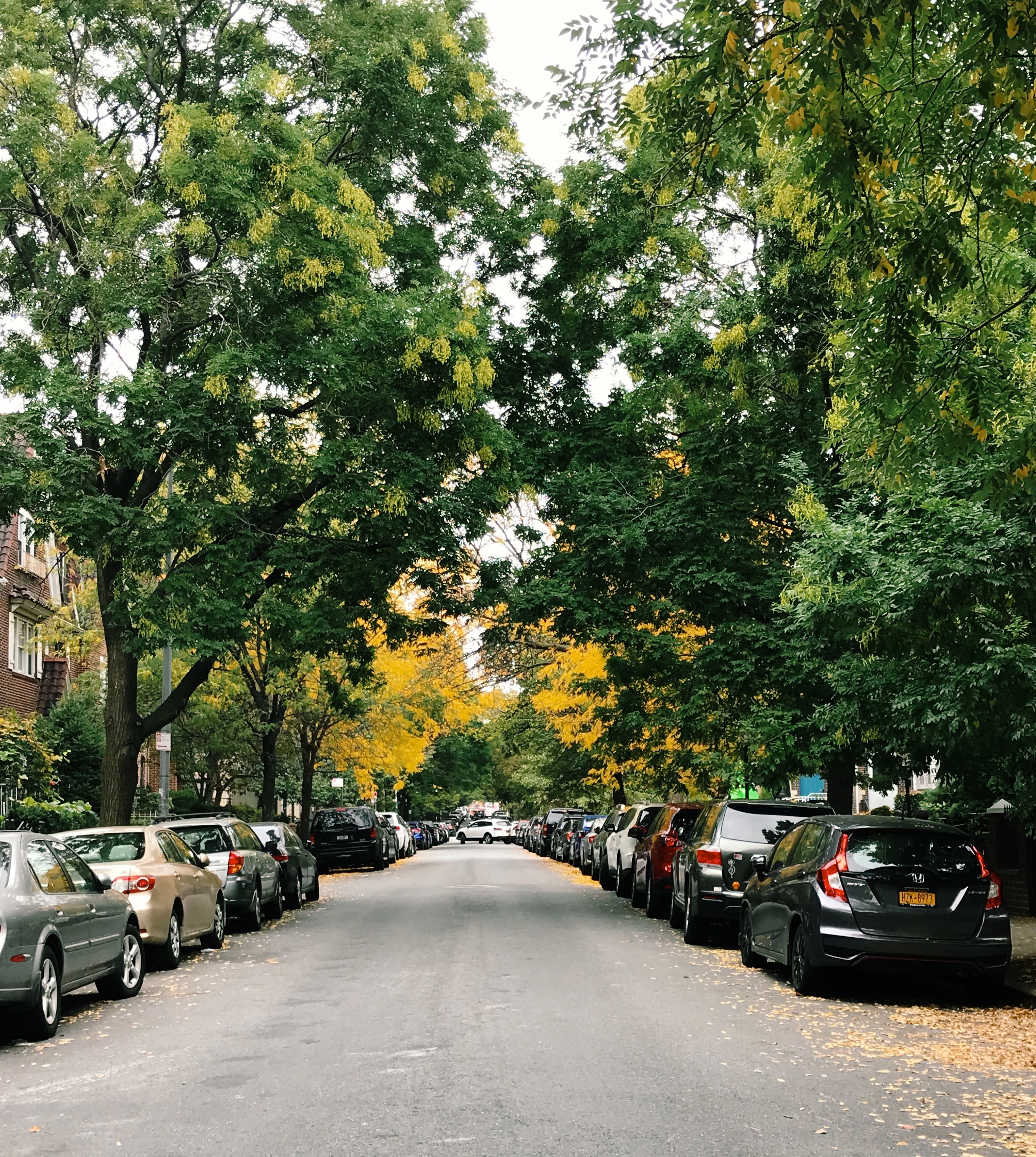 1898AB9D-0788-4F61-AB87-DBC428E755A6