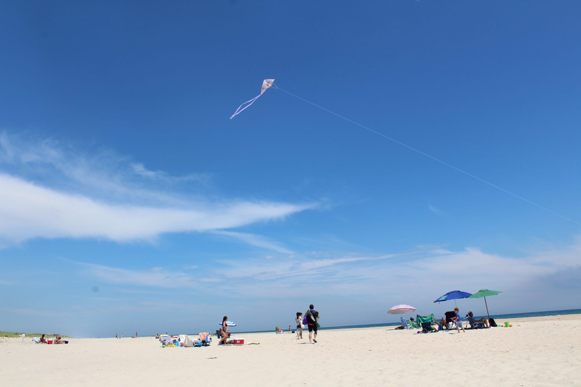 1BB9AC31-8D56-4B62-ADF9-9B9B8F75D842